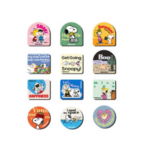 Peanuts Snoopy & Friends Magnet Mystery Random Box