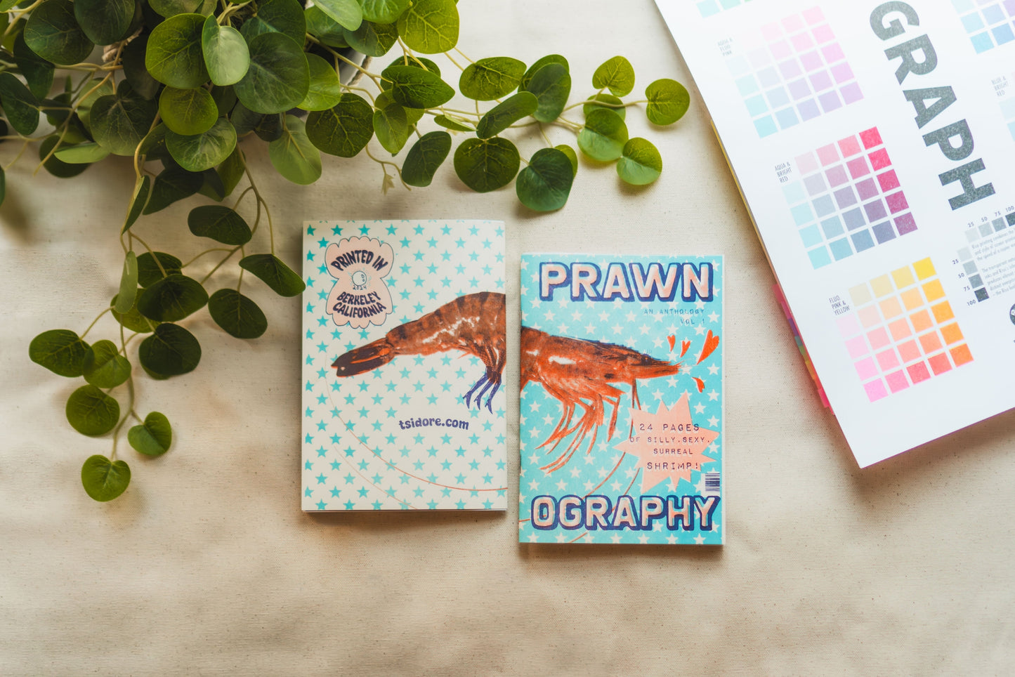 Prawnography Risograph Zine