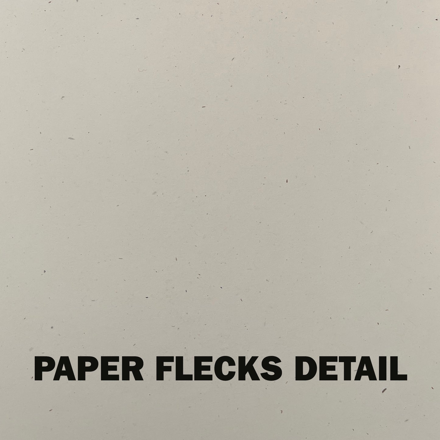 Please Don't Say DAMMMN Riso Print