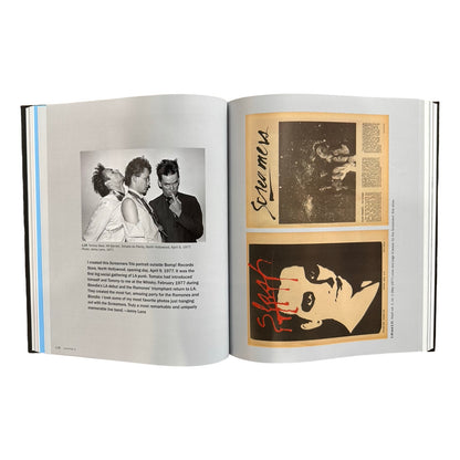 We're Having Much More Fun: Punk Archives for the Present from Cbgb to Gilman and Beyond
