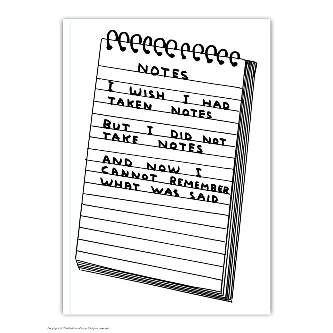 Wish I'd Taken Notes A6 Notebook - David Shrigley