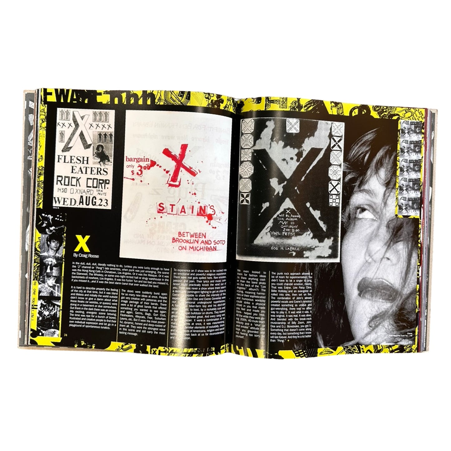 Fucked Up & Photocopied : Instant Art of The Punk Movement 25th Anniversary Edition