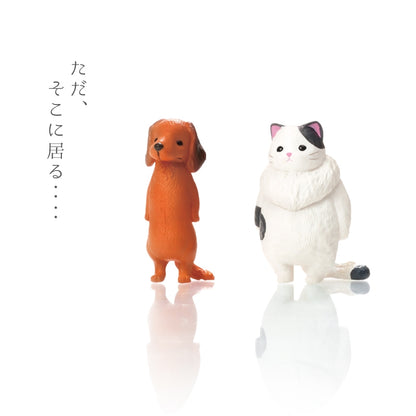 【Japanese Blind Box】Feel Nothing 3 Blind Box