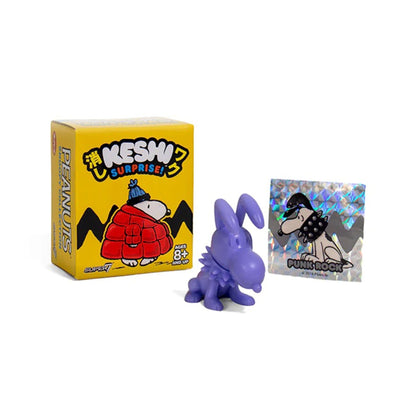 Snoopy Keshi Surprise Blind Box