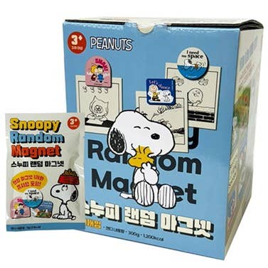 Peanuts Snoopy & Friends Magnet Mystery Random Box