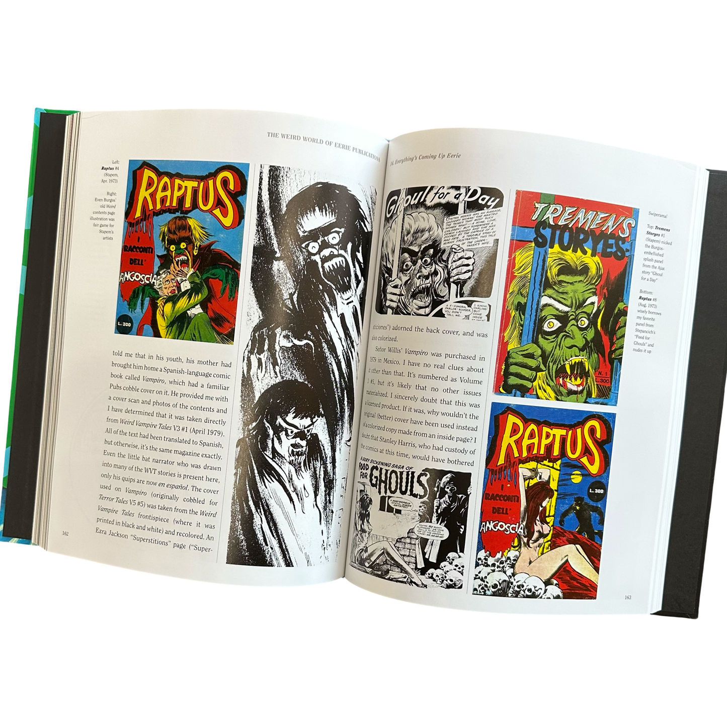 The Werid World of EERIE Publications Book