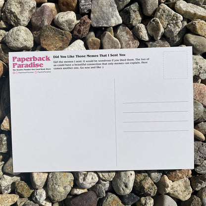 Did You Like Those Memes I Sent You? Postcard