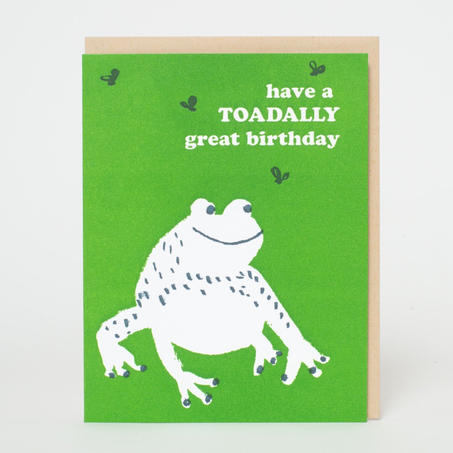 Have a TOADALLY Great Birthday Card