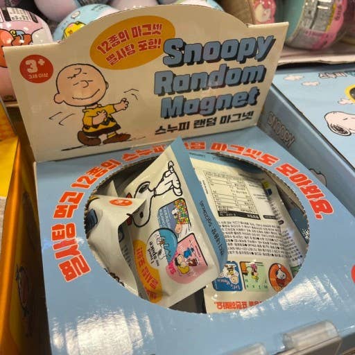 Peanuts Snoopy & Friends Magnet Mystery Random Box