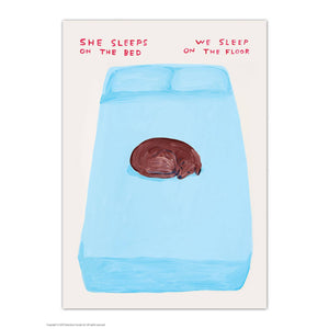 She Sleeps On The Bed - Art Postcard David Shrigley