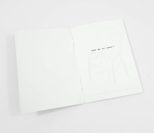 Routine Questions For The Cat  - Riso Printed Zine