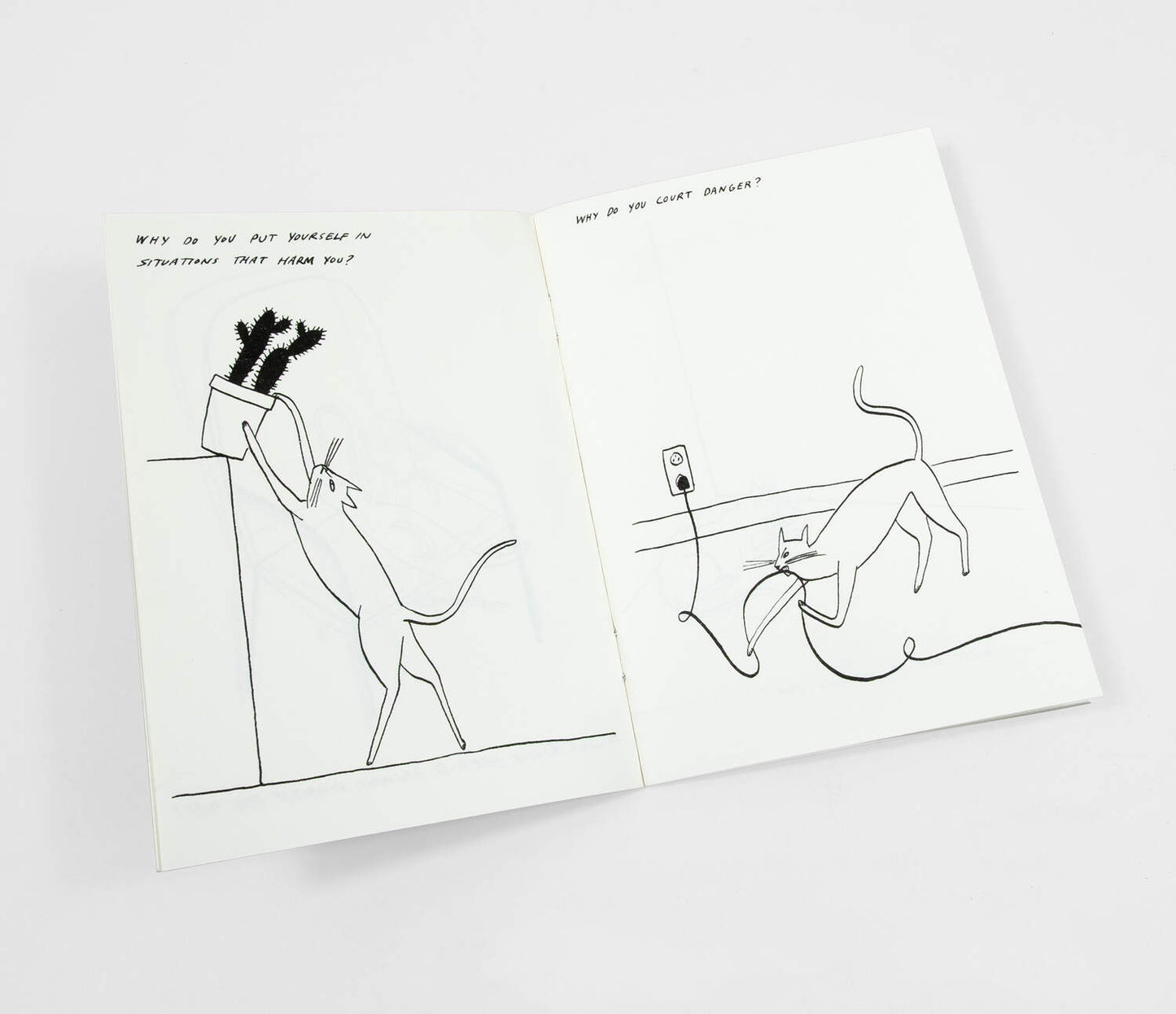 Routine Questions For The Cat  - Riso Printed Zine