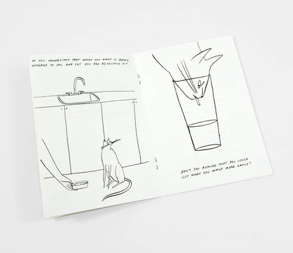 Routine Questions For The Cat  - Riso Printed Zine