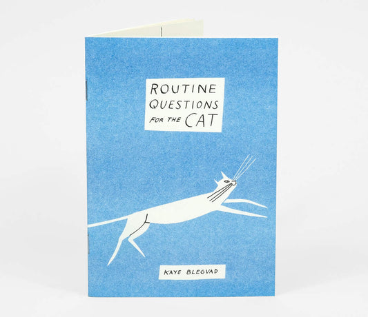 Routine Questions For The Cat  - Riso Printed Zine