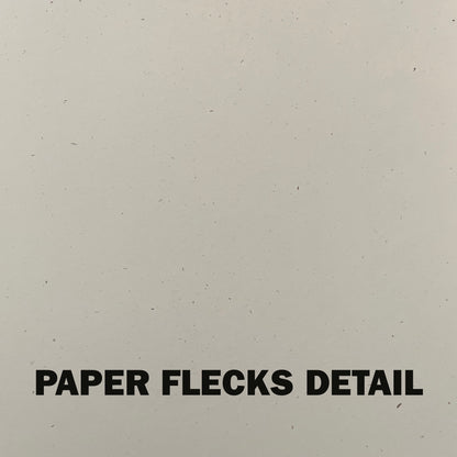 Please Don't Say DAMMMN Riso Print